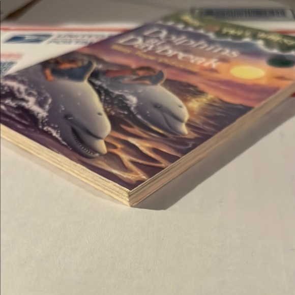 Dolphins at Daybreak Book - Picture 5 of 7